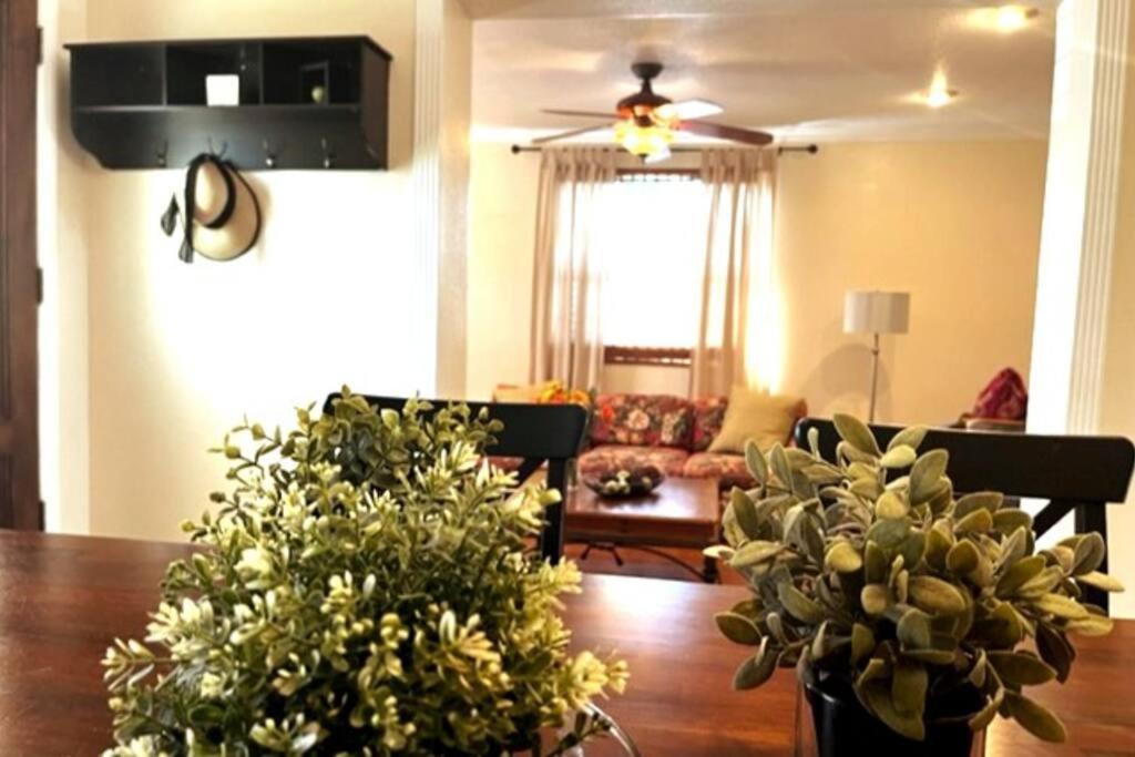 House Close To Downtown, Airport, Raymond James Stadium, And Many More Places Tampa Ngoại thất bức ảnh